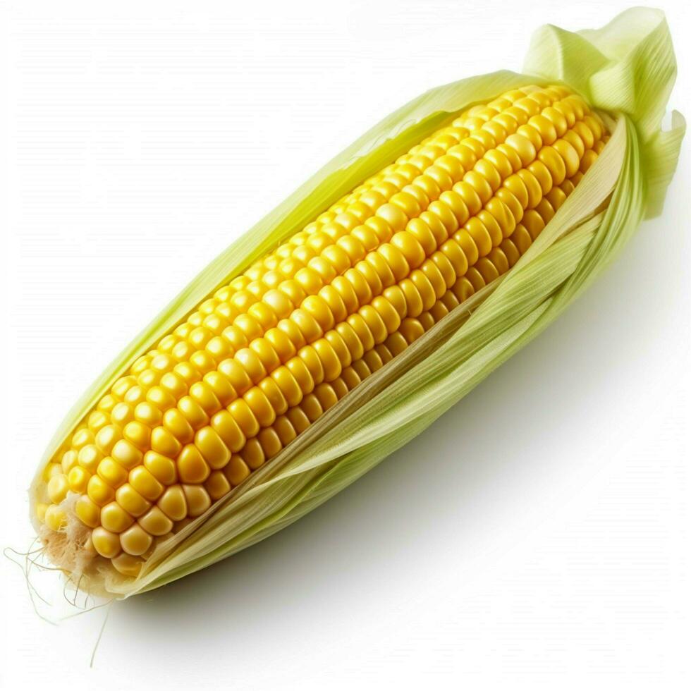 photo of corn with no background with white back
