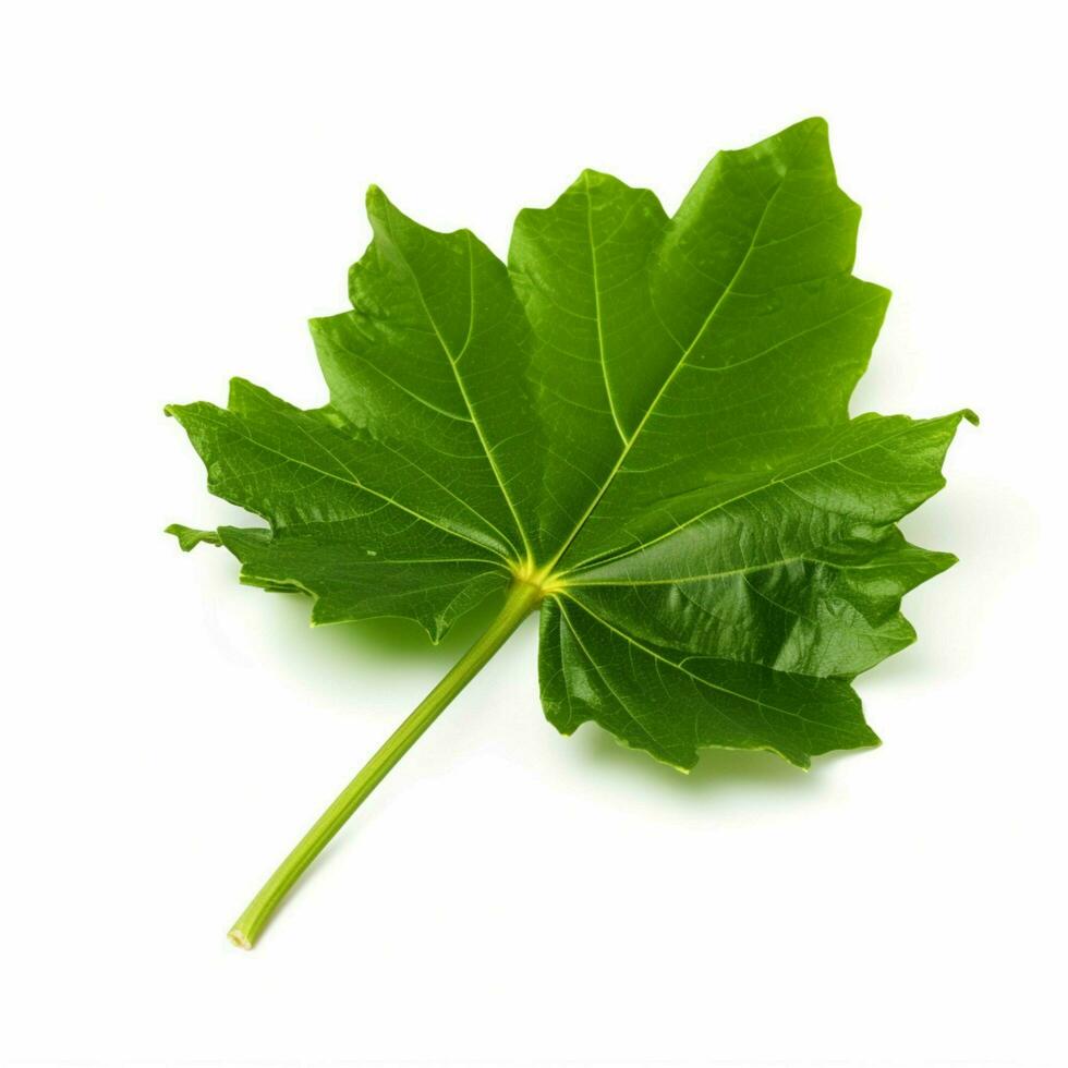 photo of edimame with no background with white back