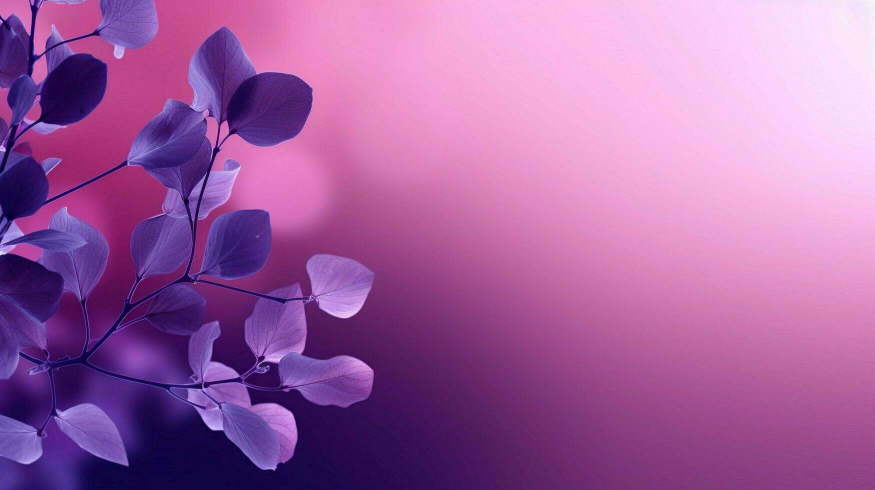 purple background high quality photo