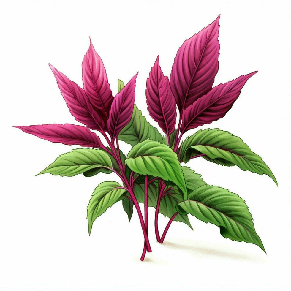 Amaranth leaves 2d cartoon illustraton on white background photo