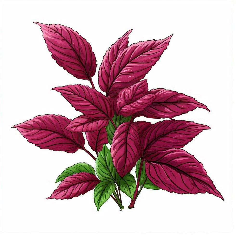 Amaranth leaves 2d cartoon illustraton on white background photo