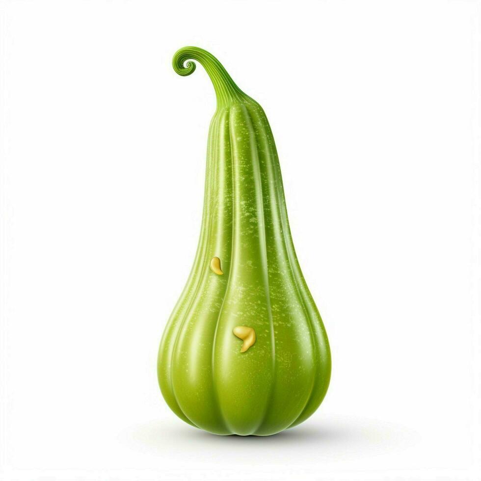 Bitter gourd 2d cartoon illustraton on white background hi photo