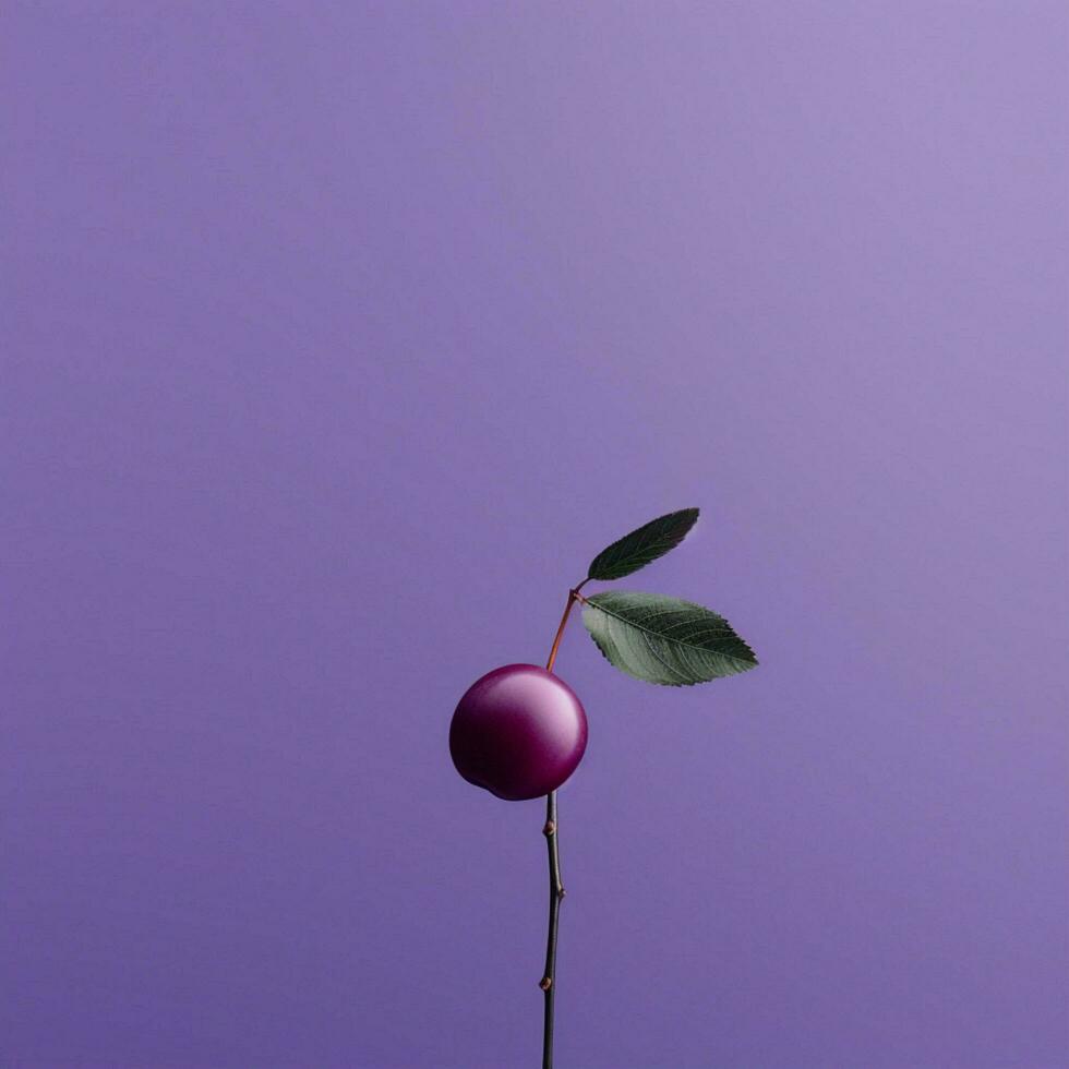 Plum Minimalist wallpaper high quality 4k hdr photo