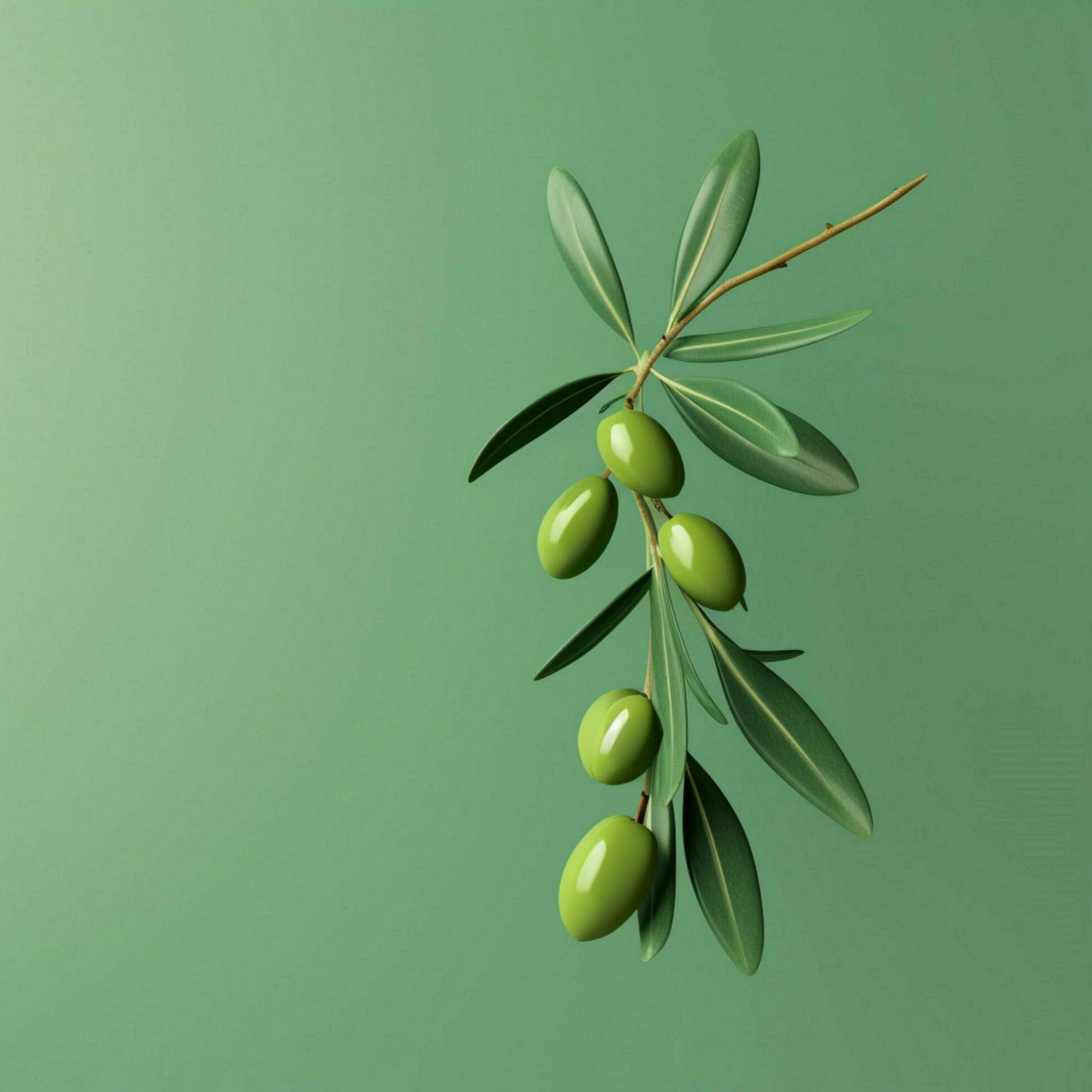 olive Minimalist wallpaper high quality 4k hdr 30697996 Stock Photo at