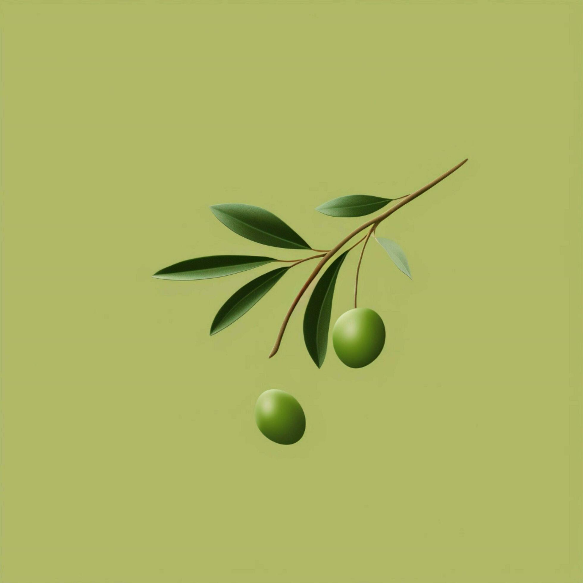 olive Minimalist wallpaper high quality 4k hdr 30698011 Stock Photo at
