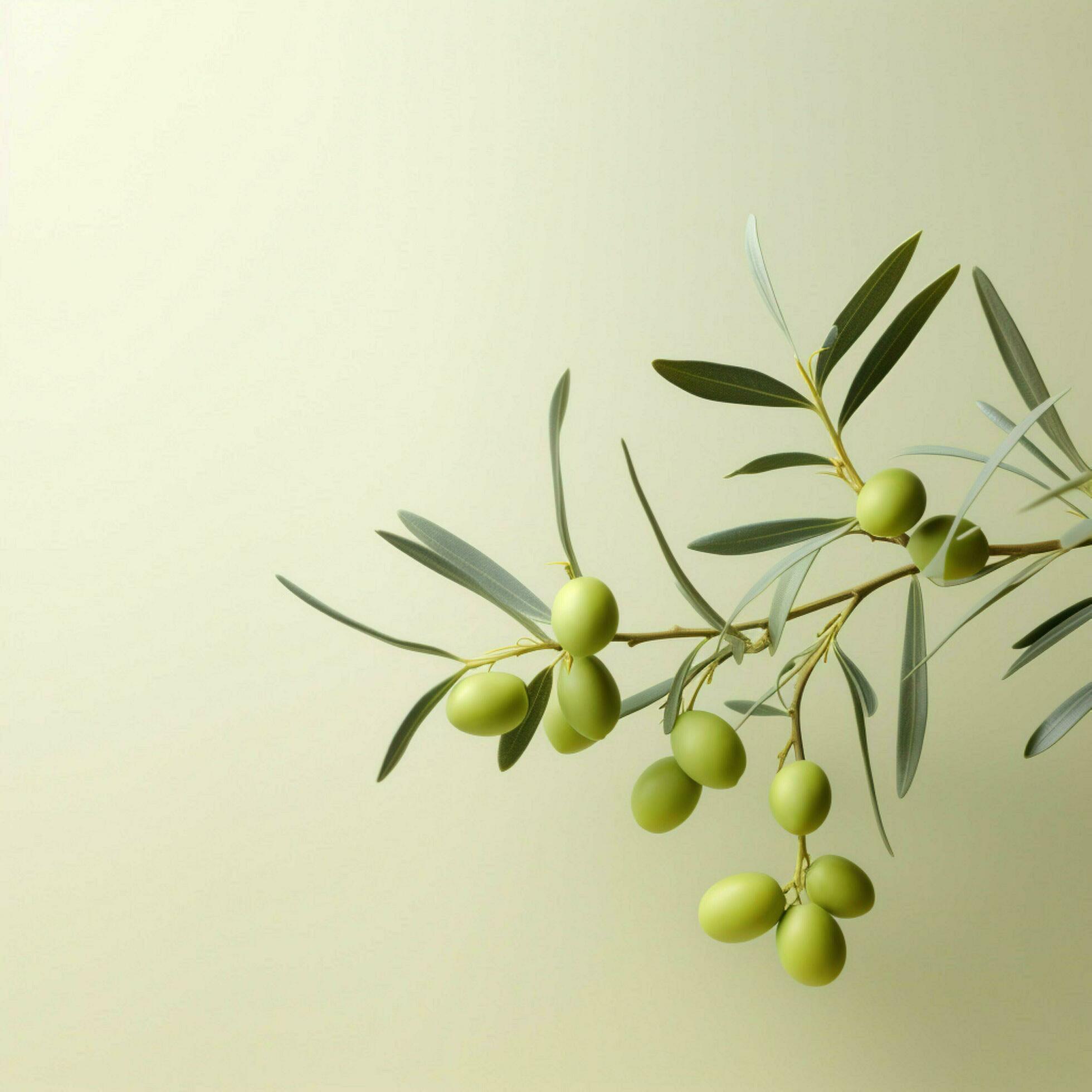 olive Minimalist wallpaper high quality 4k hdr 30698015 Stock Photo at