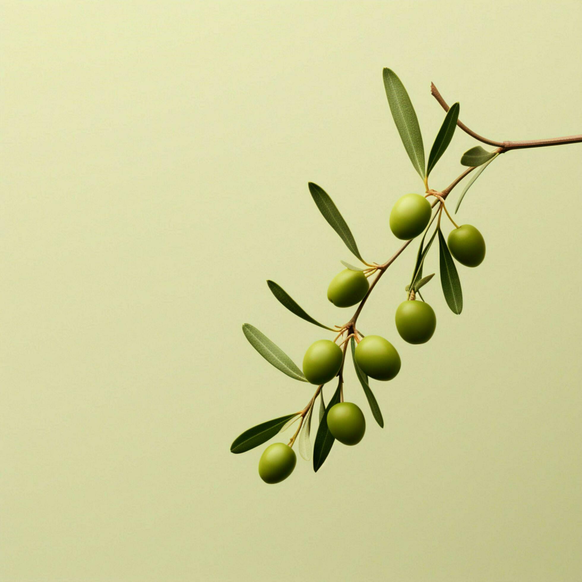 olive Minimalist wallpaper high quality 4k hdr 30698057 Stock Photo at