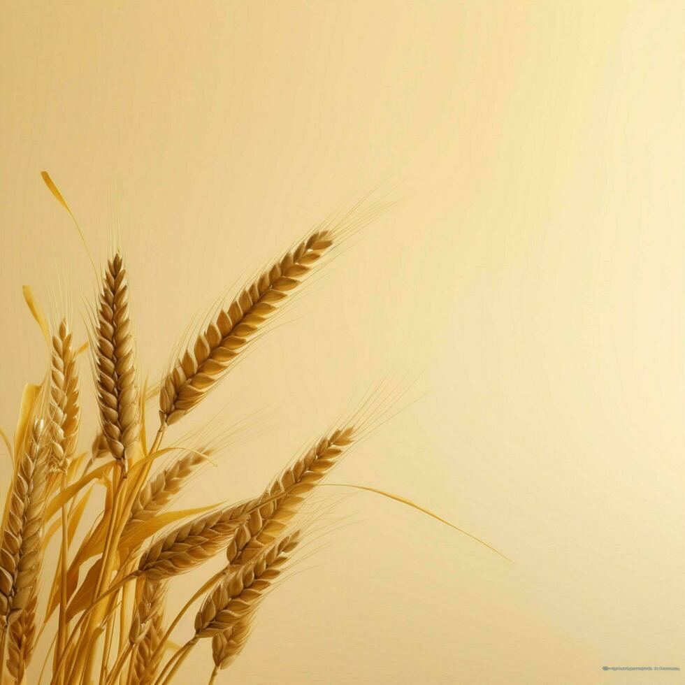 wheat color Minimalist wallpaper high quality 4k hdr photo