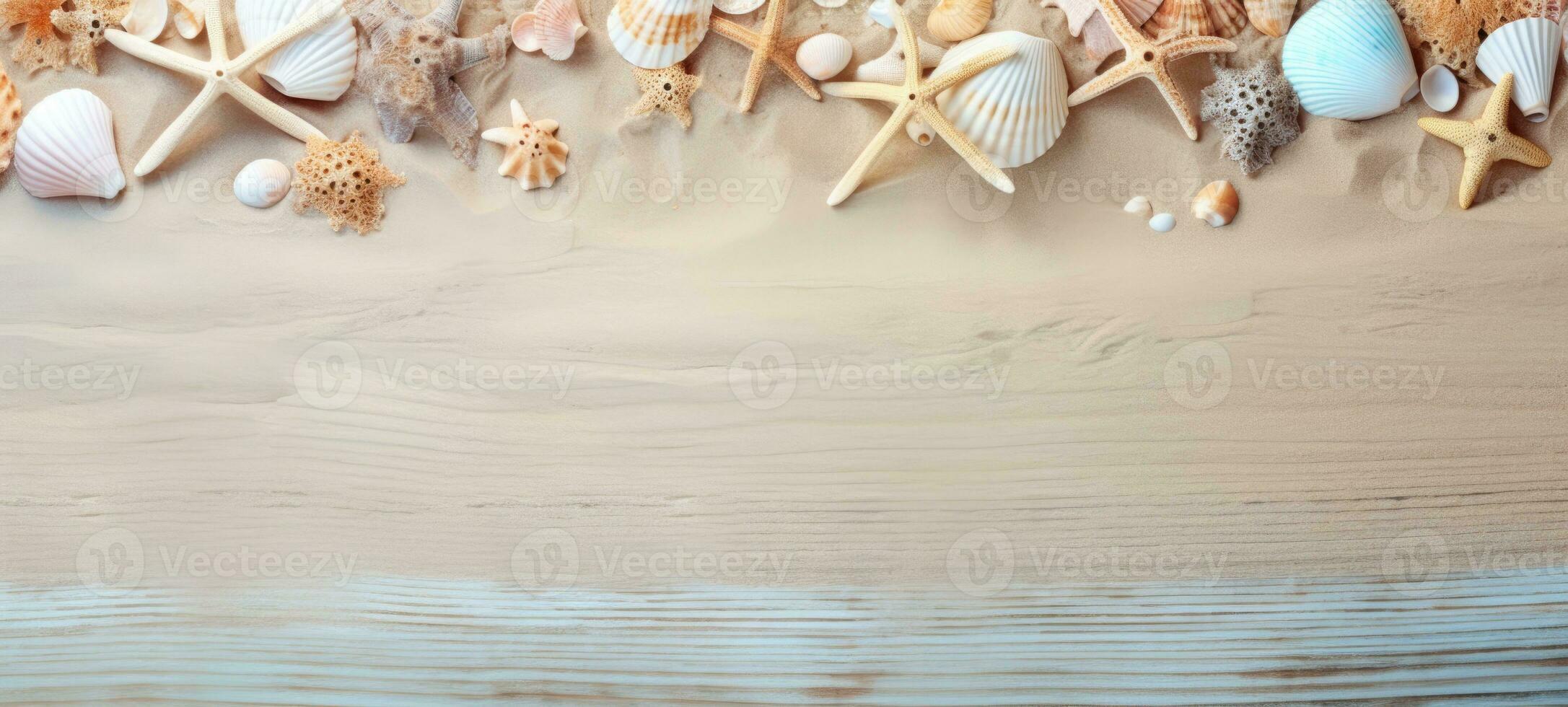 seashells on the beach sea sand summer, ai photo