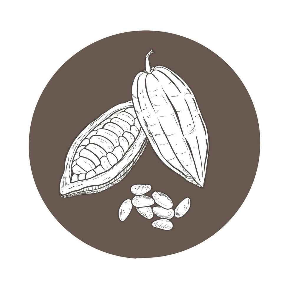 Vector illustration set of cocoa opened and closed raw unpeeled bean pods and detached seeds. Black scillfull outline of cacao friuts, graphic drawing on black curcle background. For postcards, design