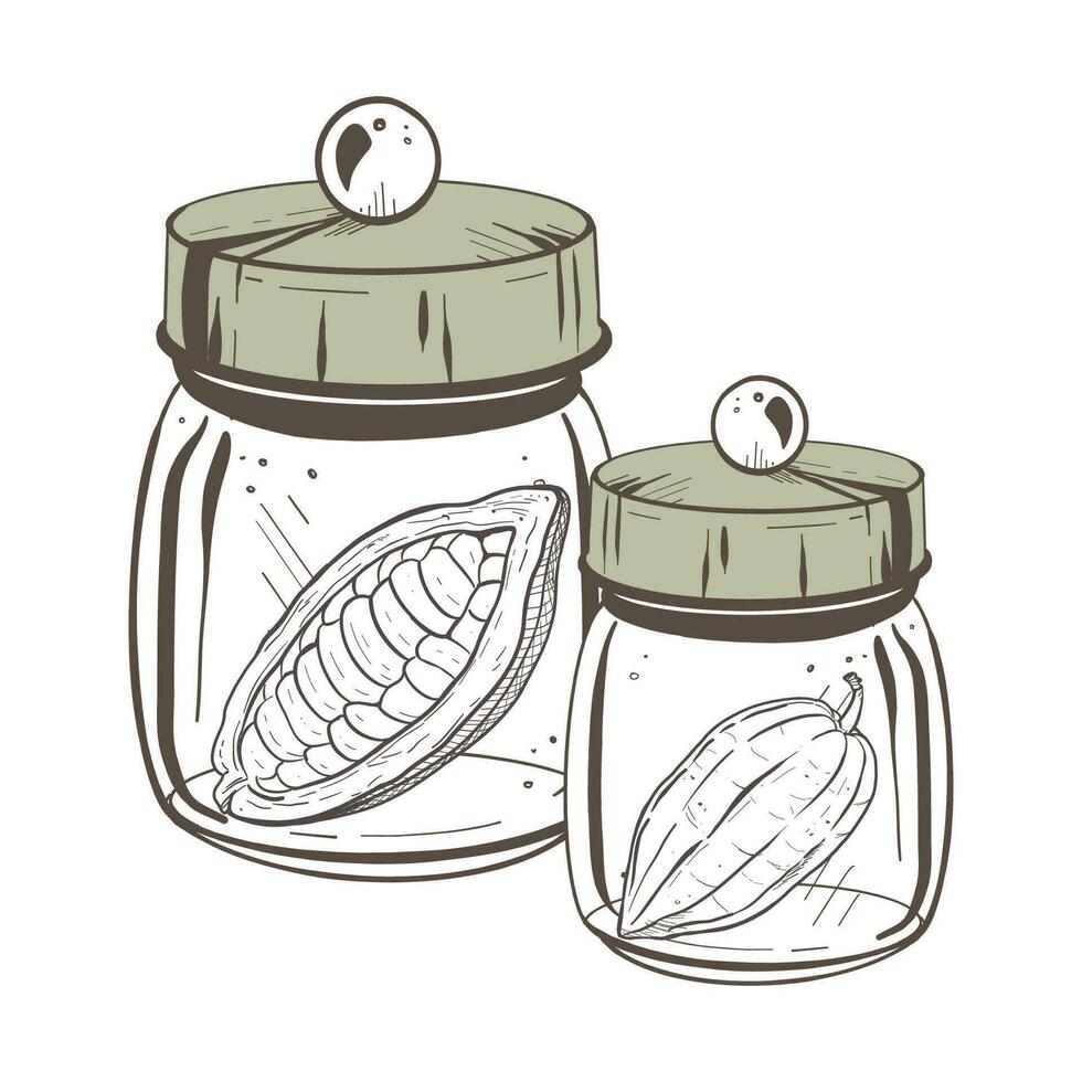 Vector illustration set of two closed glass containers with solid lid and cocoa pods inside. Black outline, graphic drawing in curves. For postcards, design and composition decoration, prints, posters