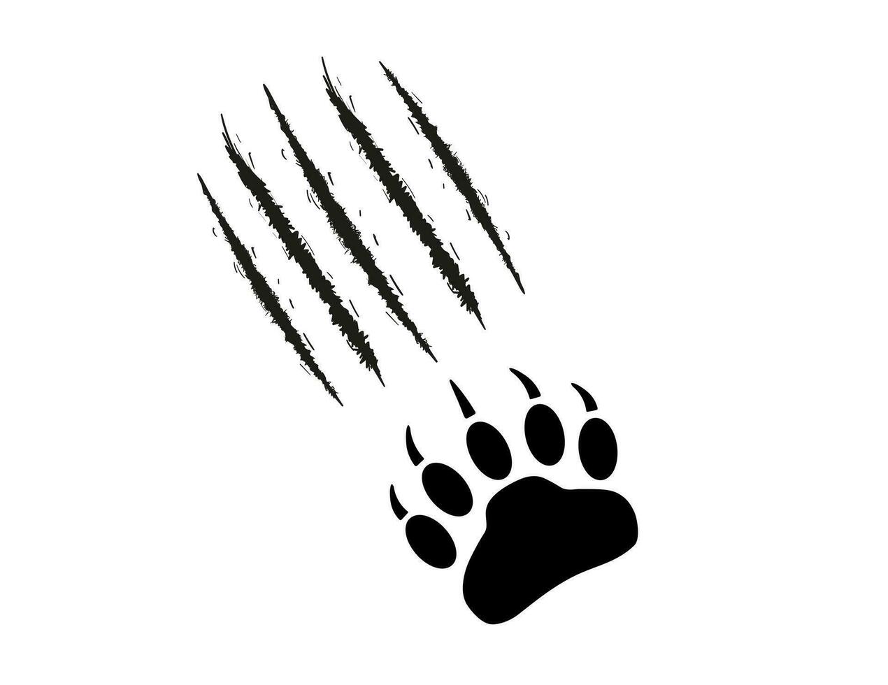 Bear paw and scratches 1 vector