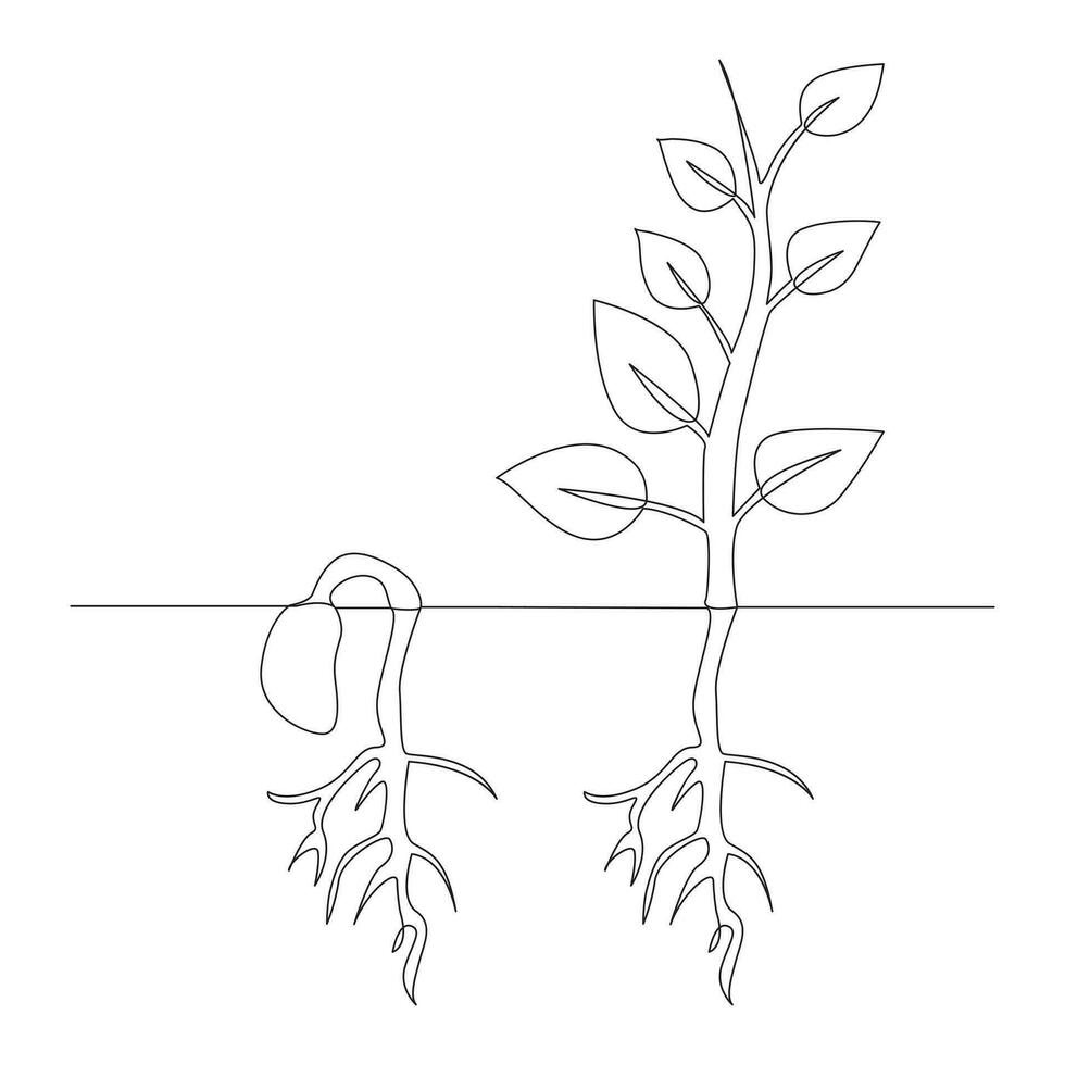 One line drawing Plant growth processing illustration vector