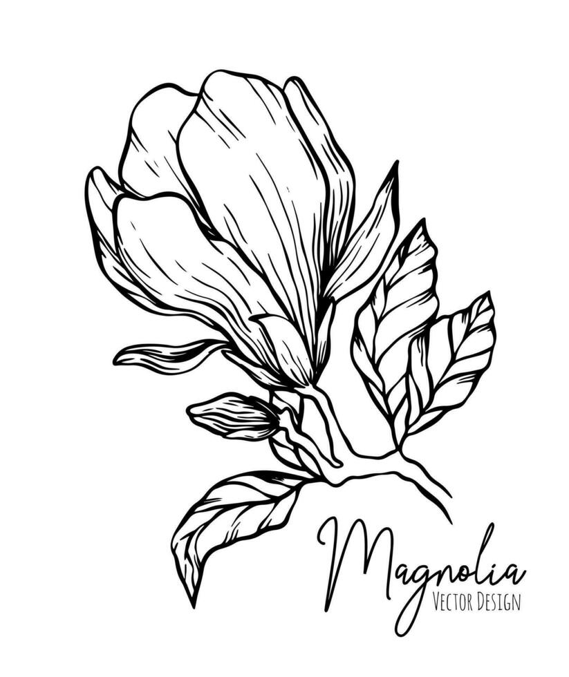 magnolia flor línea ilustración colocar. dibujado a mano contorno contorno de Boda hierba, elegante hojas para invitación salvar el fecha tarjeta. botánico de moda verdor vector colección para web, imprimir, carteles