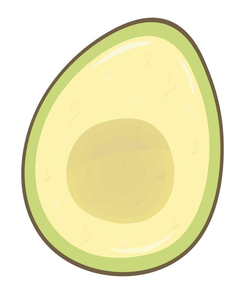 Half an appetizing avocado, color vector illustration