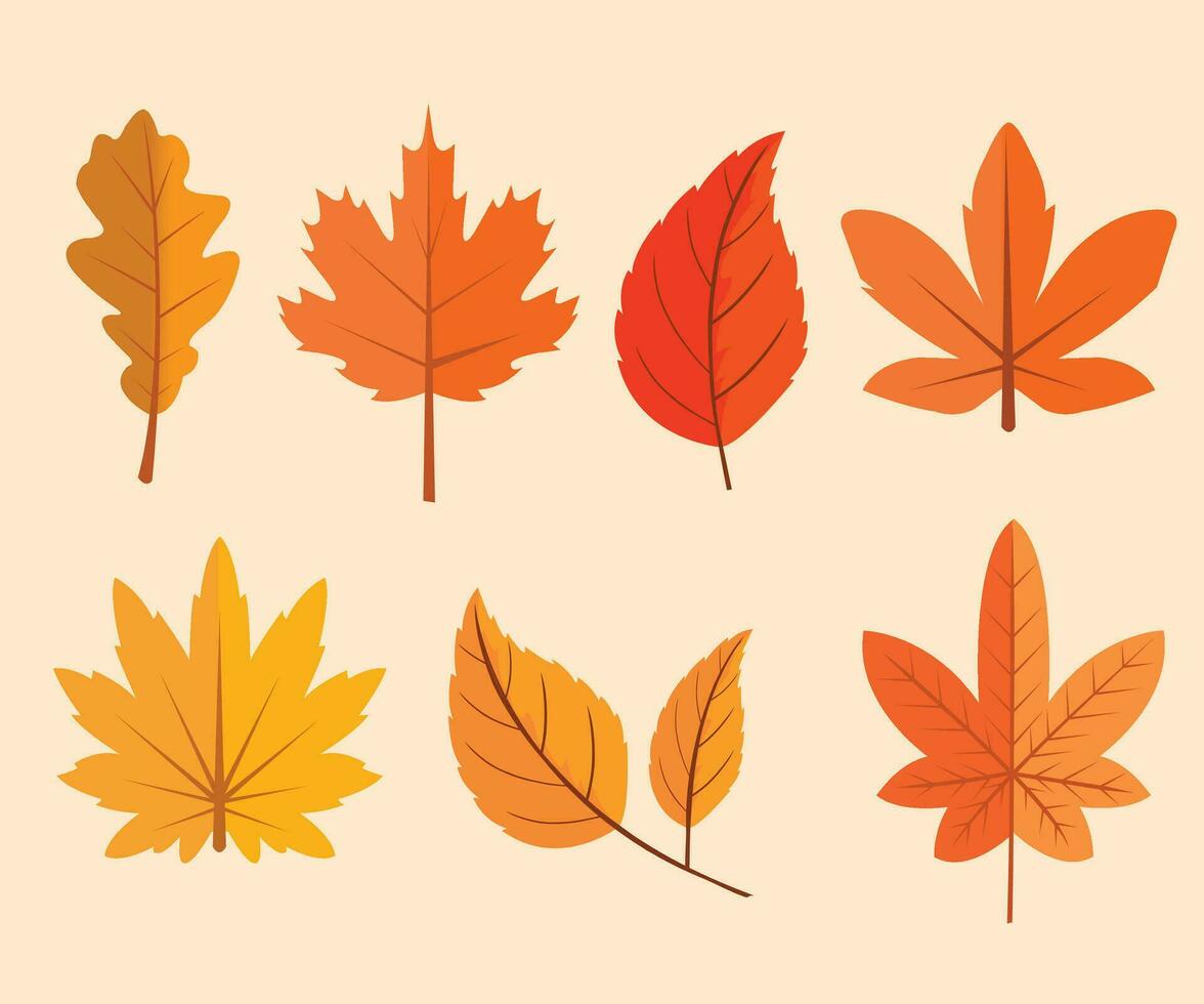 capturar el esencia de otoño explorar nuestra maravilloso otoño hoja colección vector