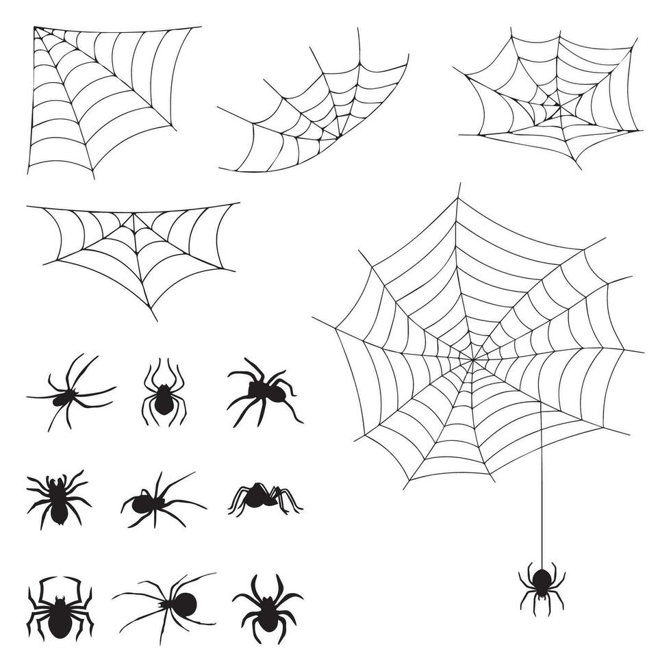 Set of spider web and spiders isolated on white background vector