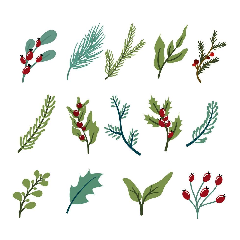 Vector of Winter leaves collection