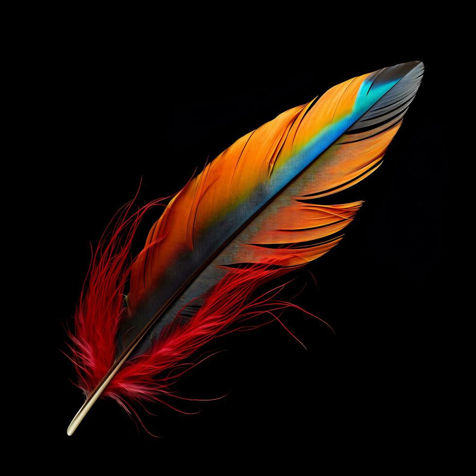 Vibrant contrast of an feather on black background AI Generative photo