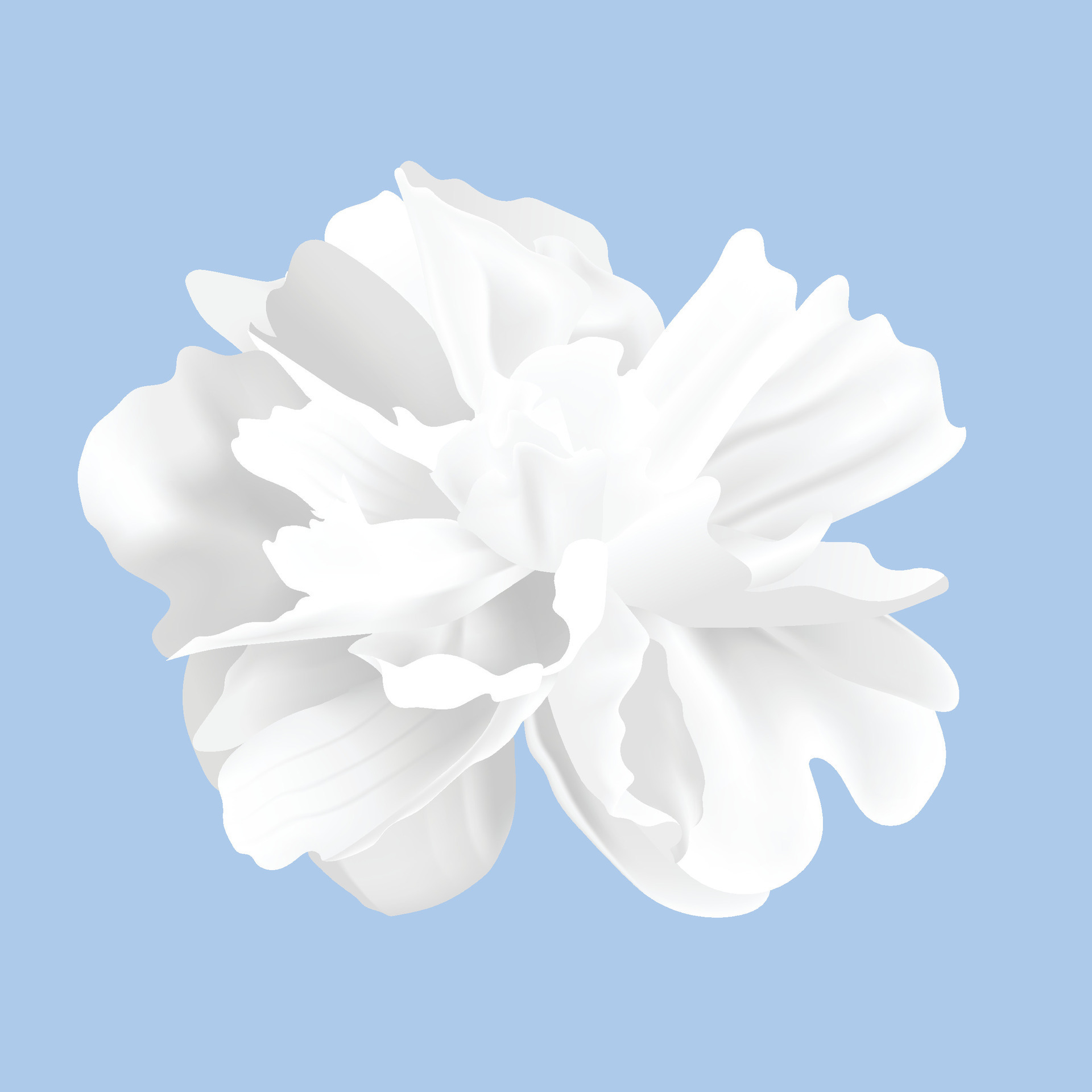 Vector floral on white background design 30718384 Vector Art at Vecteezy