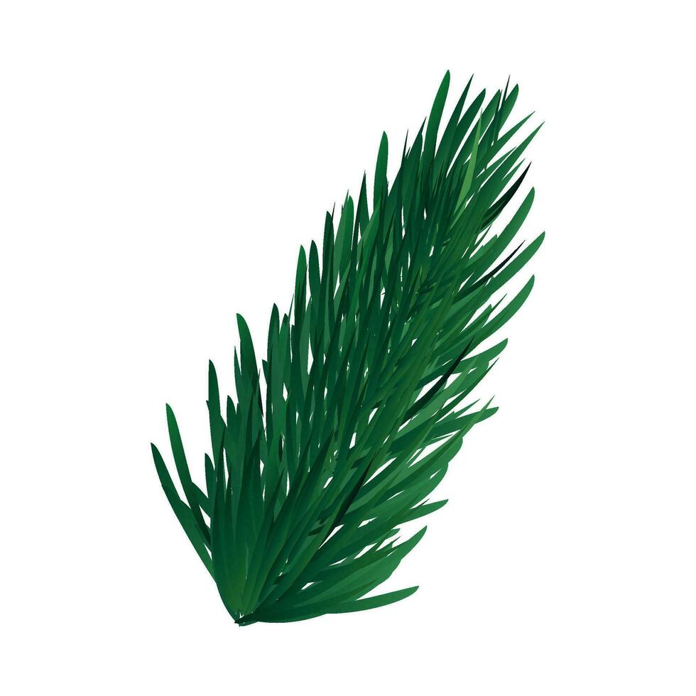 Vector green fir tree twig on white