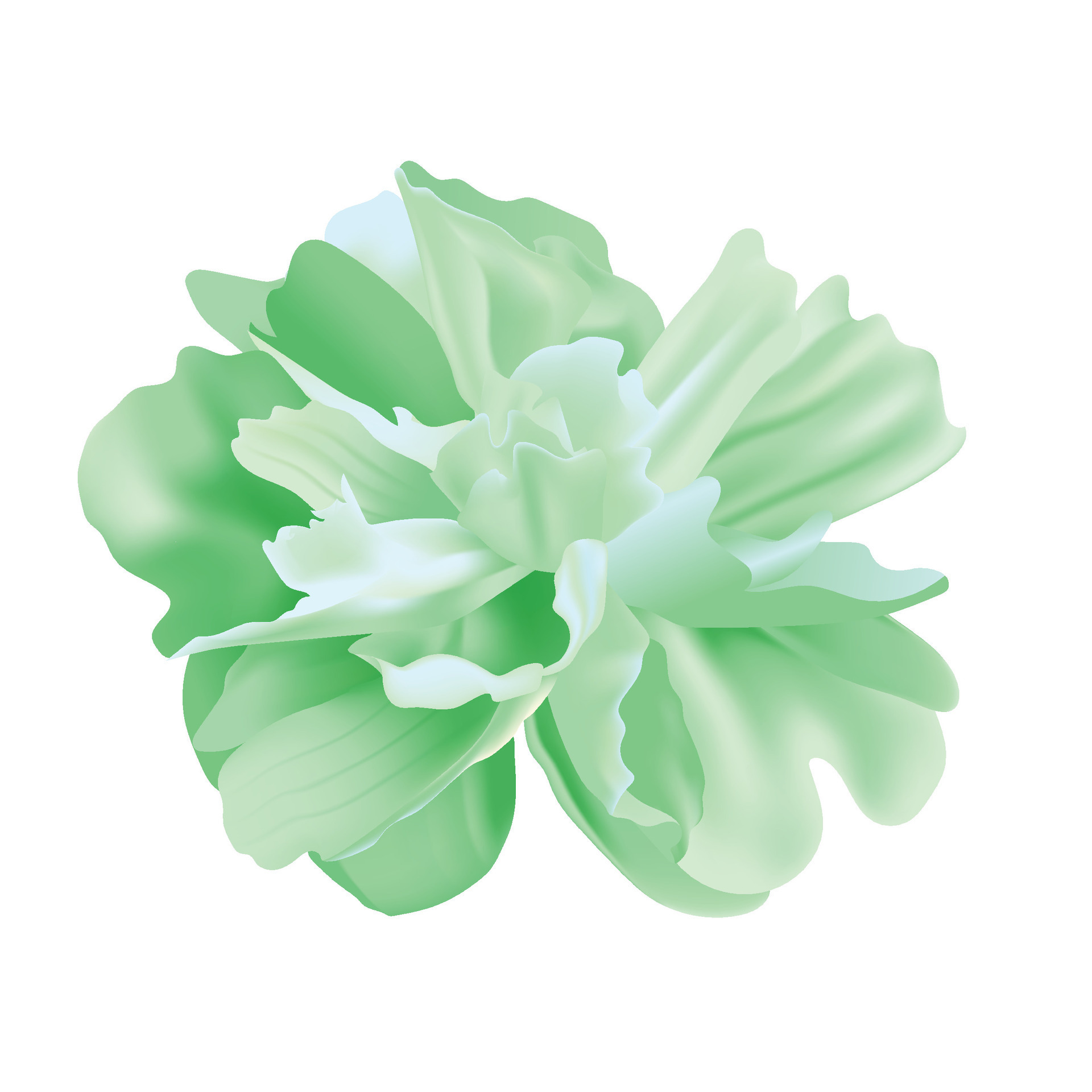 Vector floral on white background design 30719381 Vector Art at Vecteezy