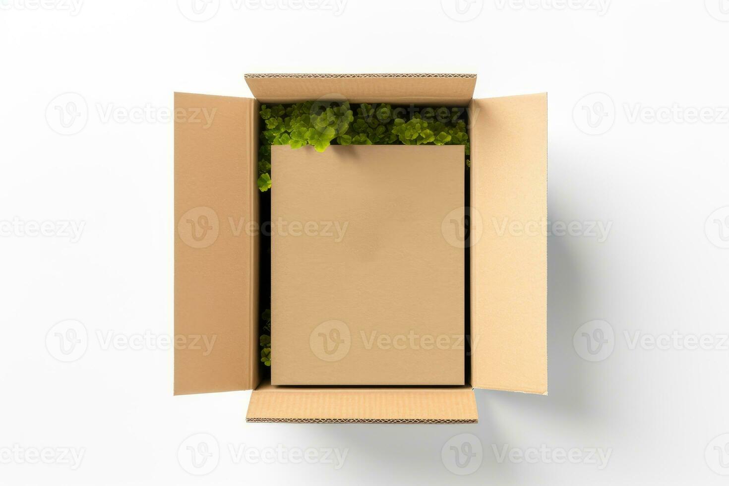 Top view of open cardboard box mockup on white background, photo