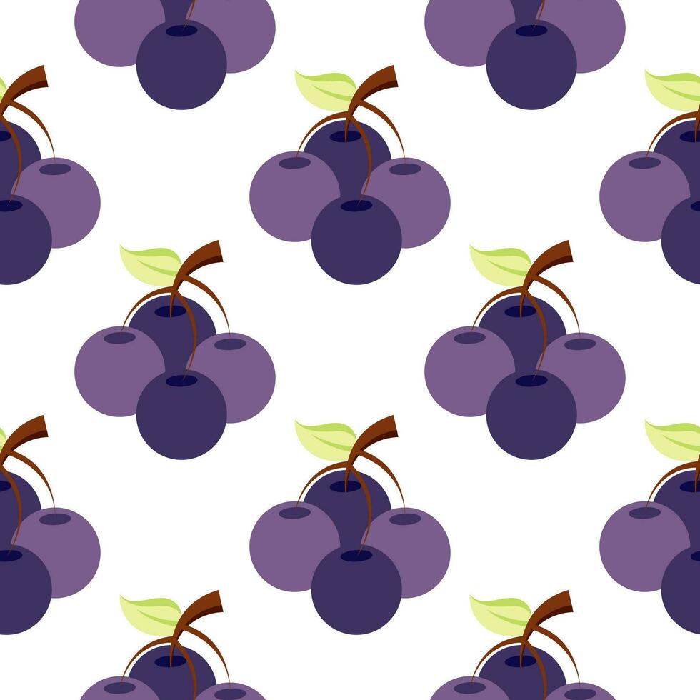 seamless pattern of grapes vector