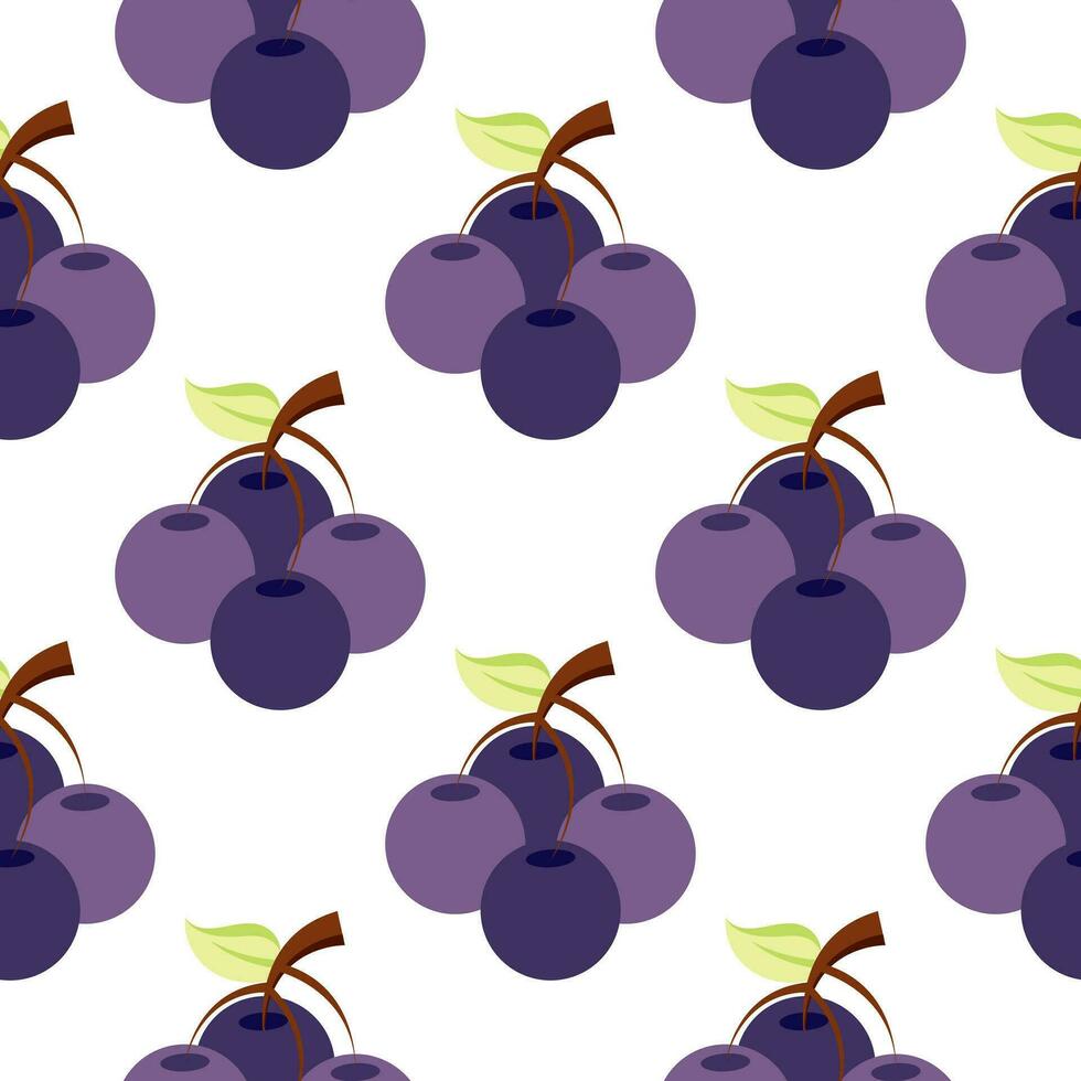 seamless pattern of grapes vector