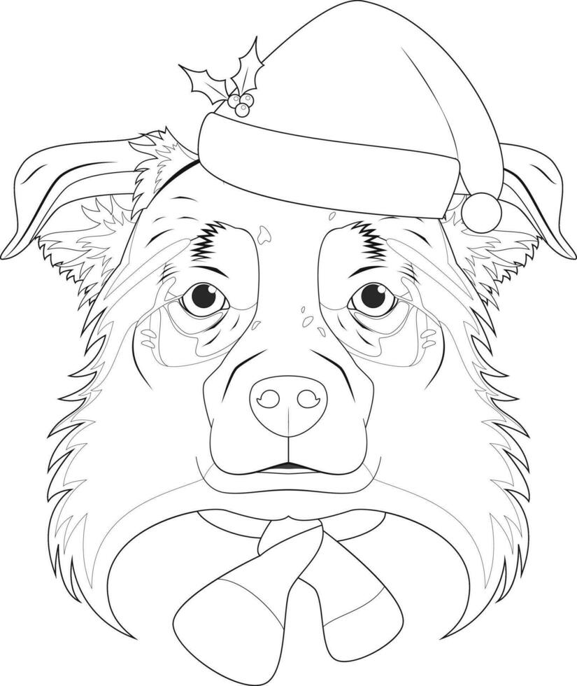 Christmas greeting card for coloring. Australian Sheperd dog with Santa's hat and a woolen scarf for winter vector
