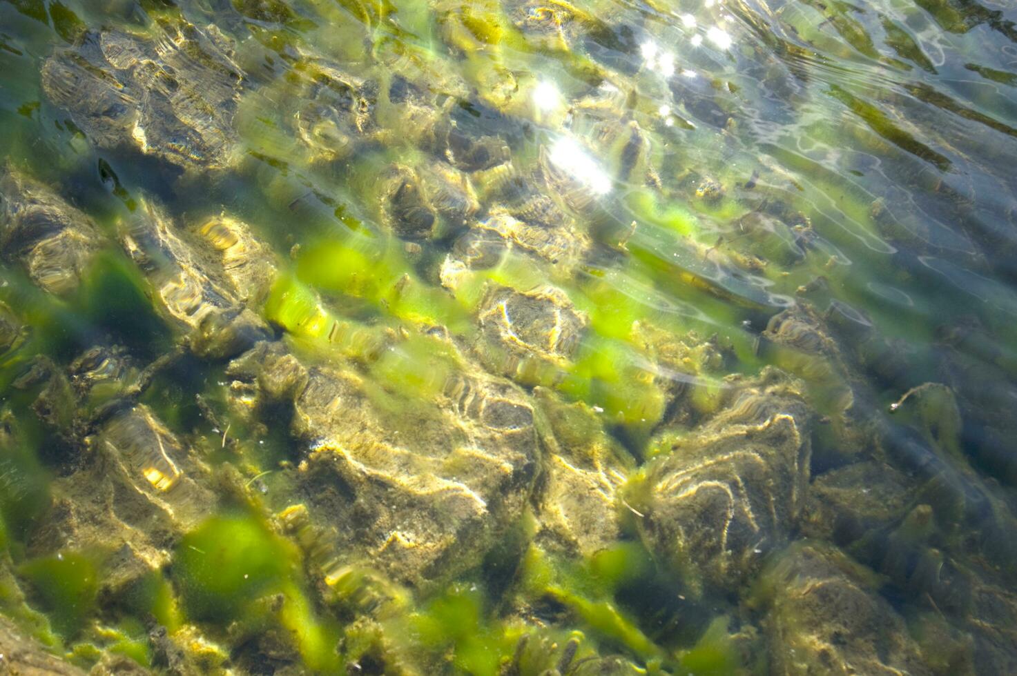 reflection of the sky and the water in the river photo