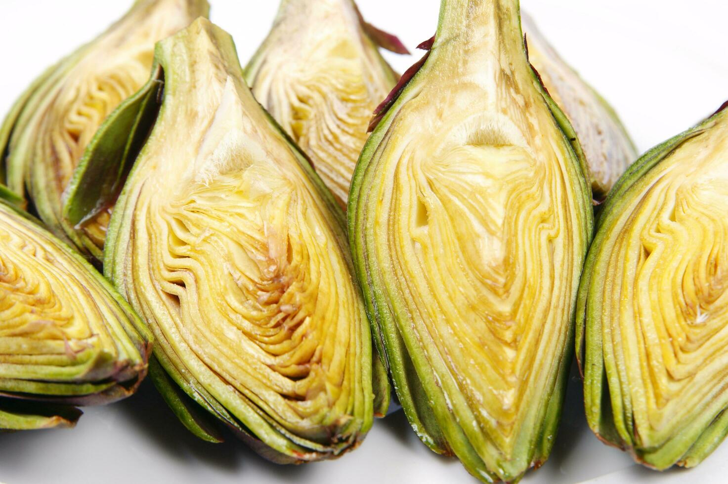 artichoke hearts on white background photo
