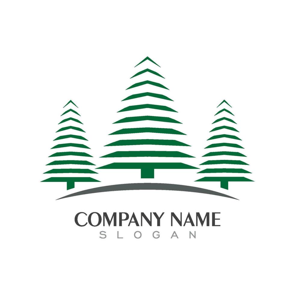 Cedar tree Logo template vector