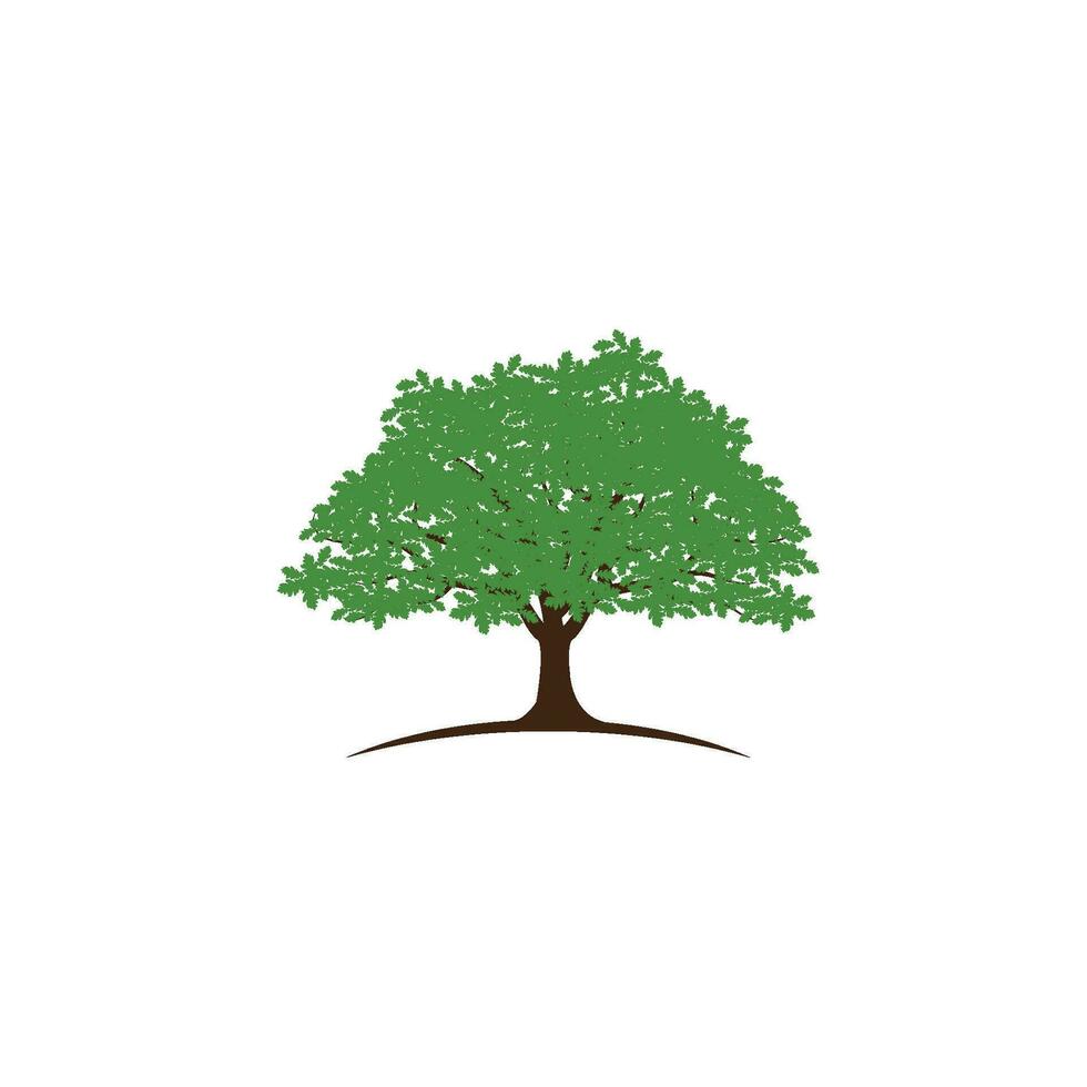 Tree branch vector ilustration design