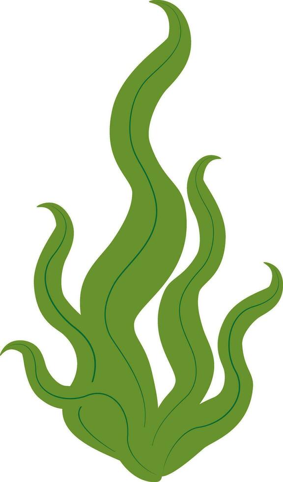 Vector illustration of green seaweed laminaria in cartoon style. Digital green lichen clipart. Green algae shrub