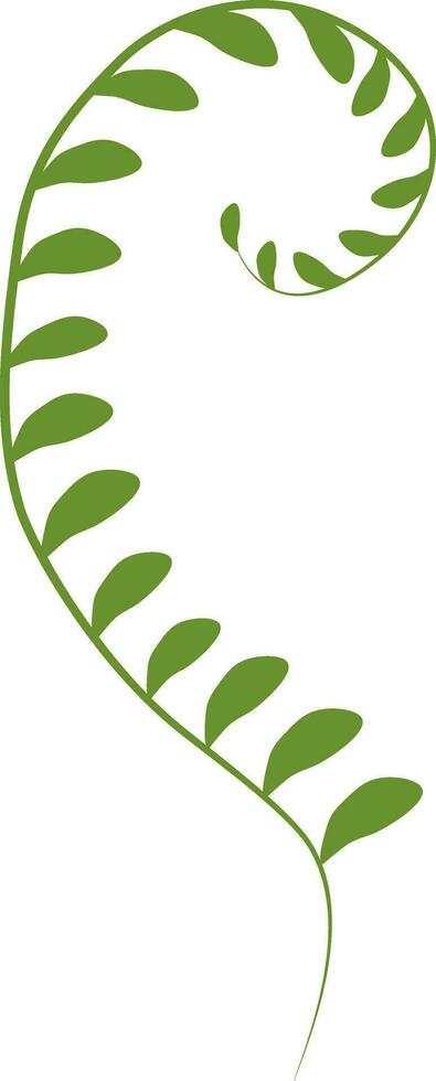 Vector illustration of green seaweed laminaria in cartoon style. Digital green lichen clipart. Green algae shrub