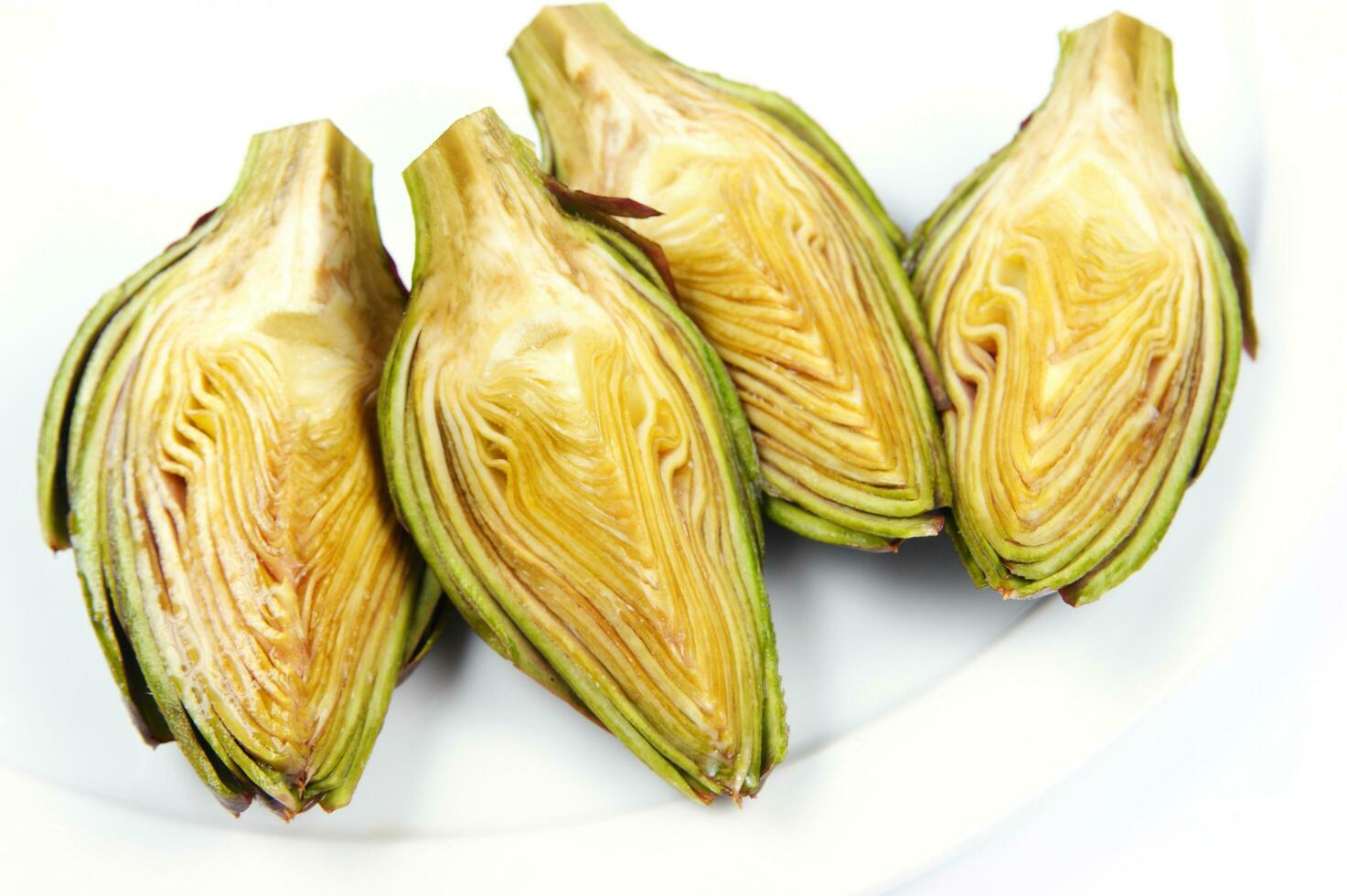 artichoke hearts on white background photo