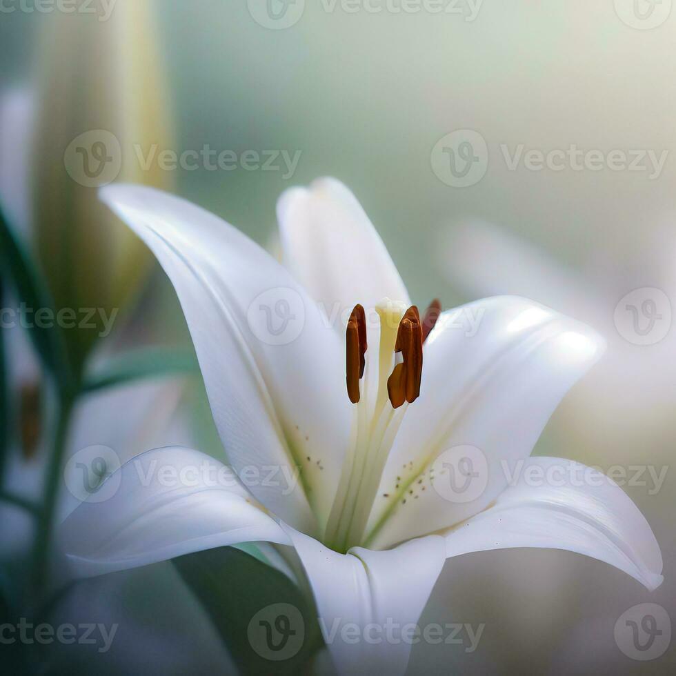 A white lily in a rainy season ,AI Generated photo