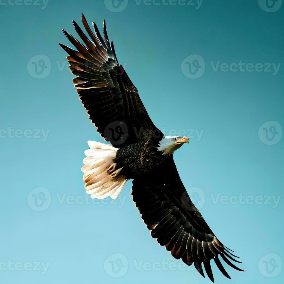 The eagle's flight is a dance of grace and power in the open sky ,AI Generated photo