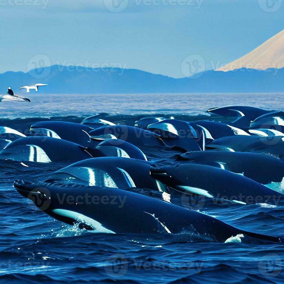 A Group of Killer Whales Surfacing in Unison ,AI Generated photo