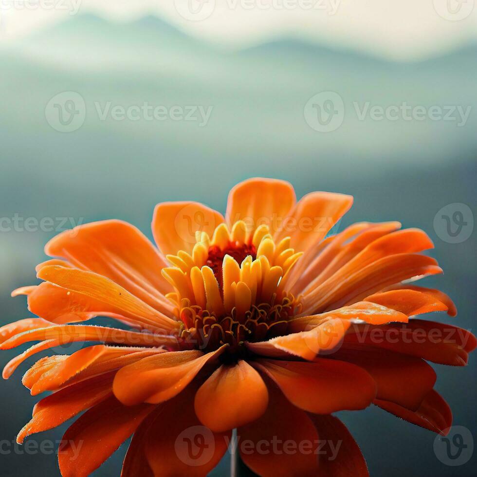The common zinnia dazzles with its array of vivid colors ,AI Generated photo