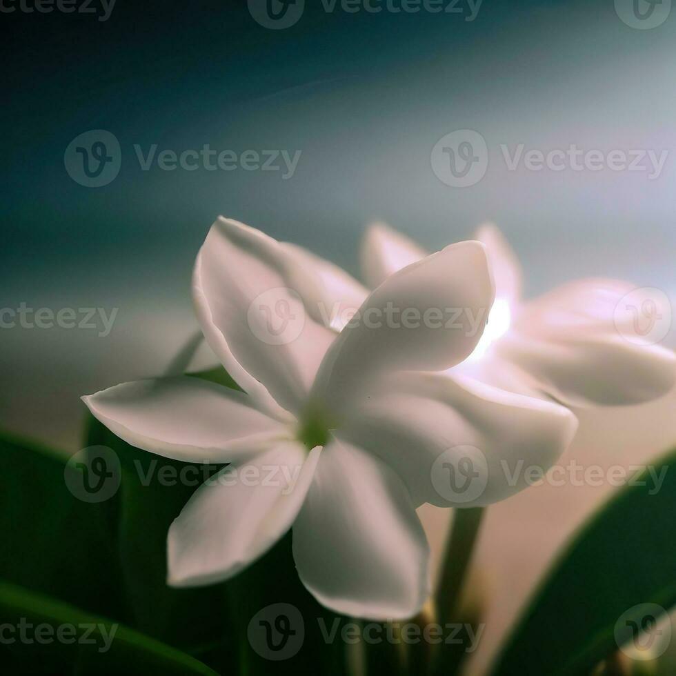 A close-up of jasmine reveals the source of its sweet and enchanting aroma ,AI Generated photo