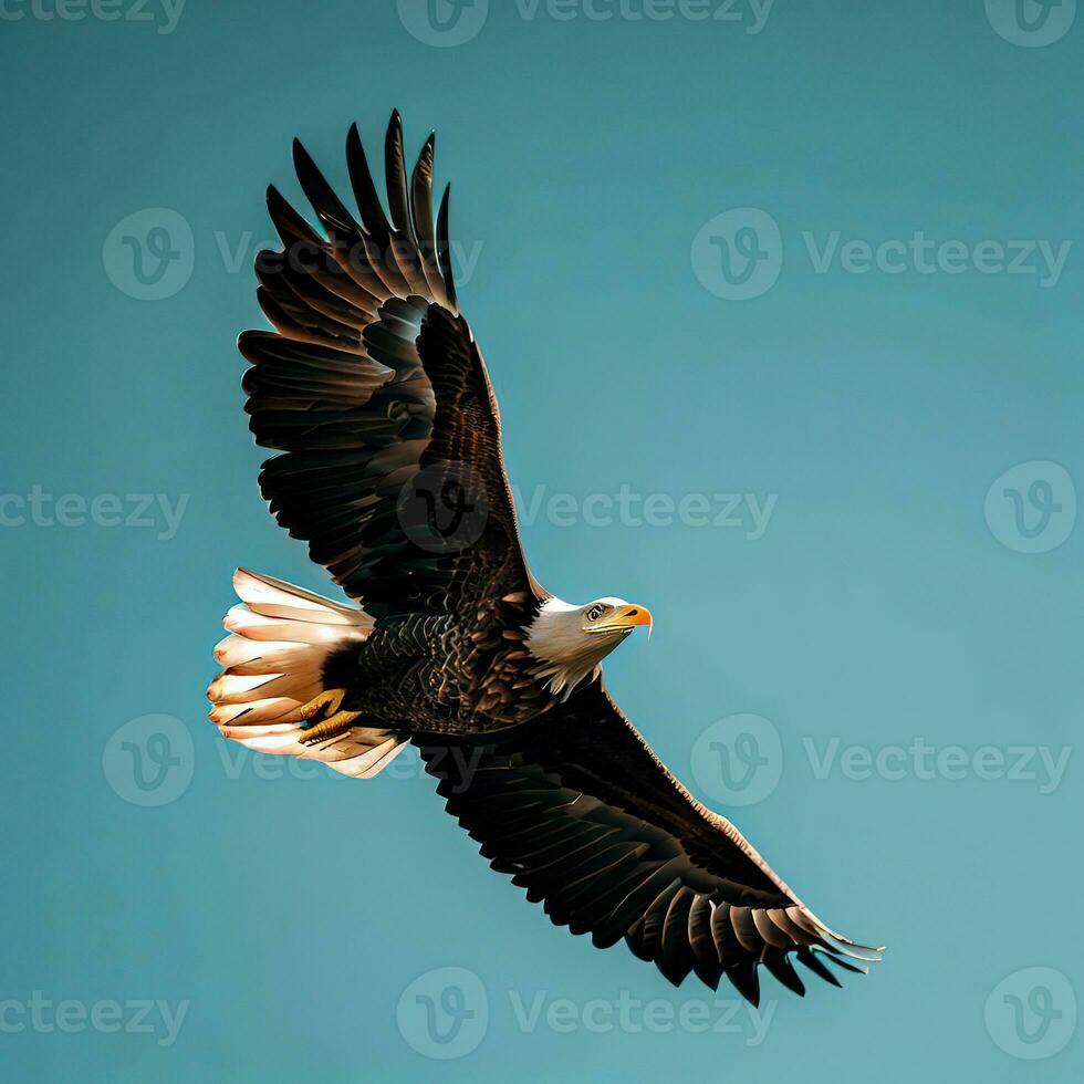 An eagle soars majestically, ruling the vast expanse of the sky ,AI Generated photo