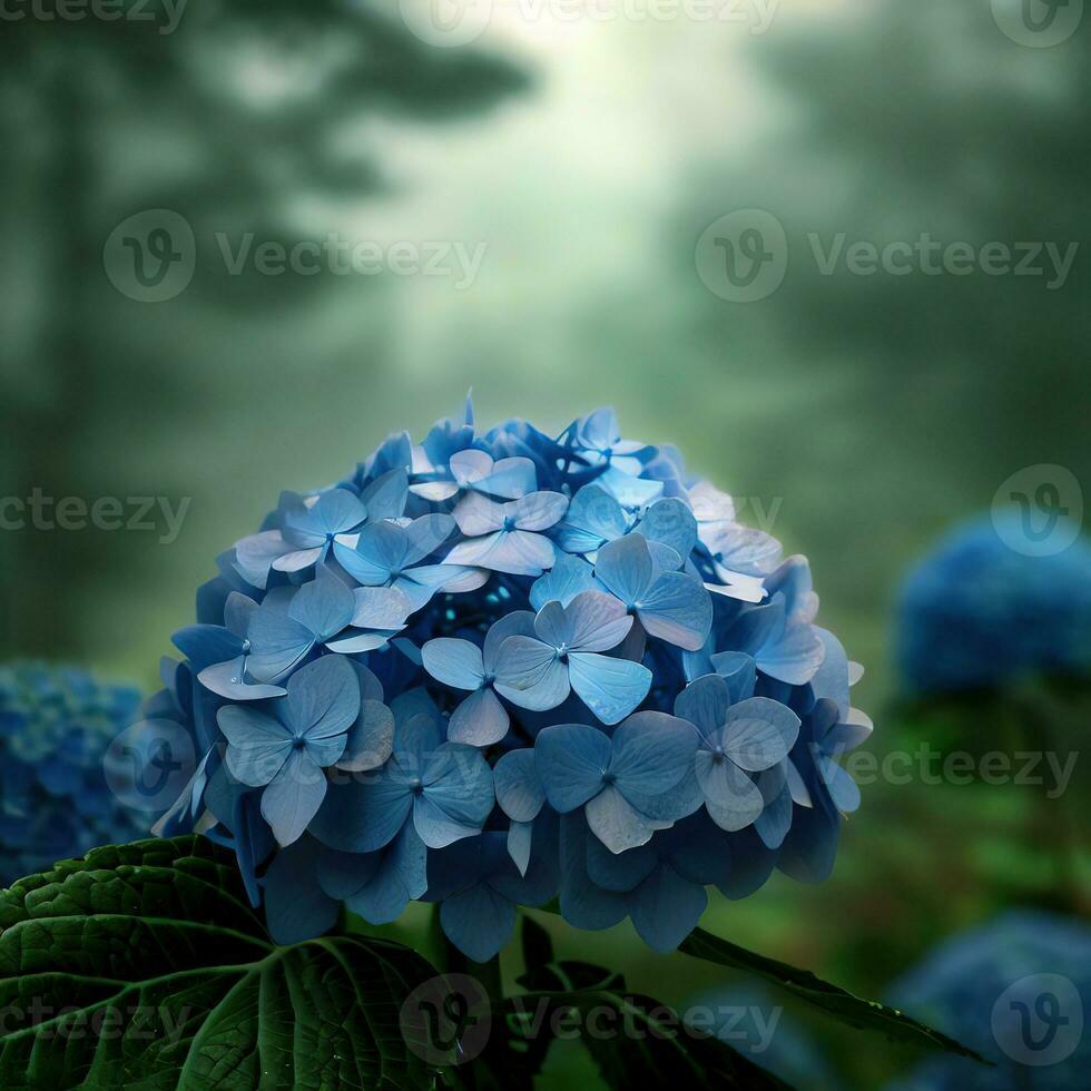 French hydrangeas in various shades of blue add a touch of elegance ,AI Generated photo