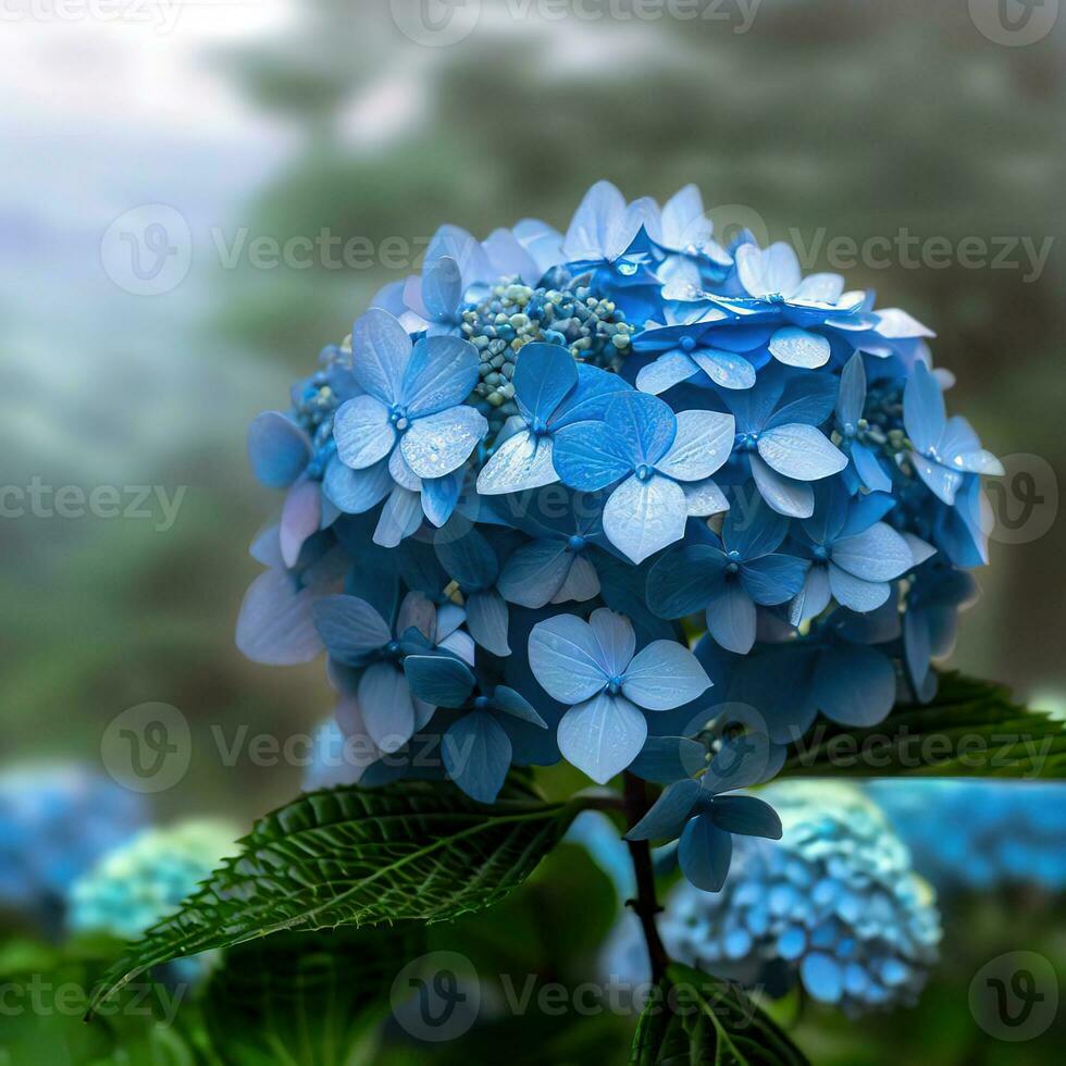 A bouquet of French hydrangeas brings a burst of color to any room ,AI Generated photo