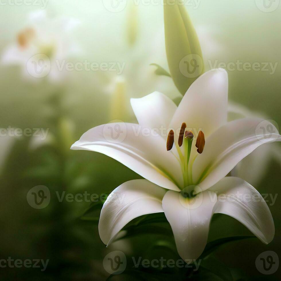 A close-up of the Madonna Lily reveals its pure and pristine petals ,AI Generated photo