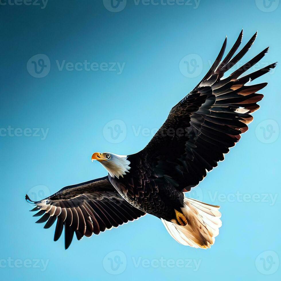 The eagle's keen eyes scan the land below as it searches for prey ,AI Generated photo