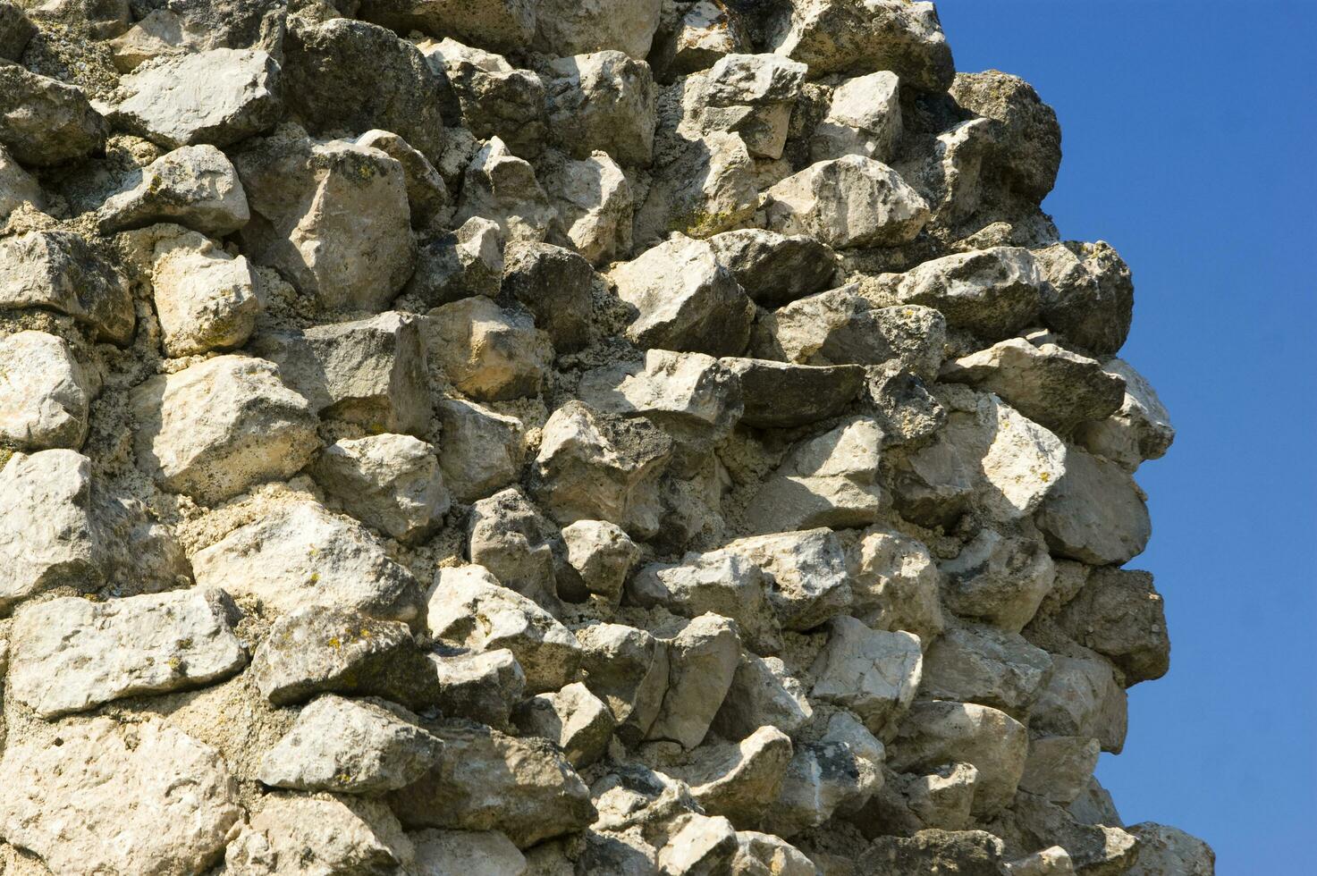 un Roca pared con un grande pájaro en eso foto