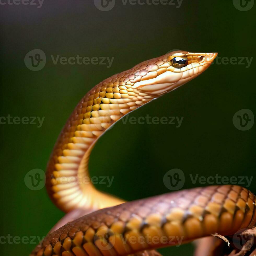 el esbelto formar de el marrón serpiente de vid exuda subestimado belleza en el salvaje ,ai generado foto