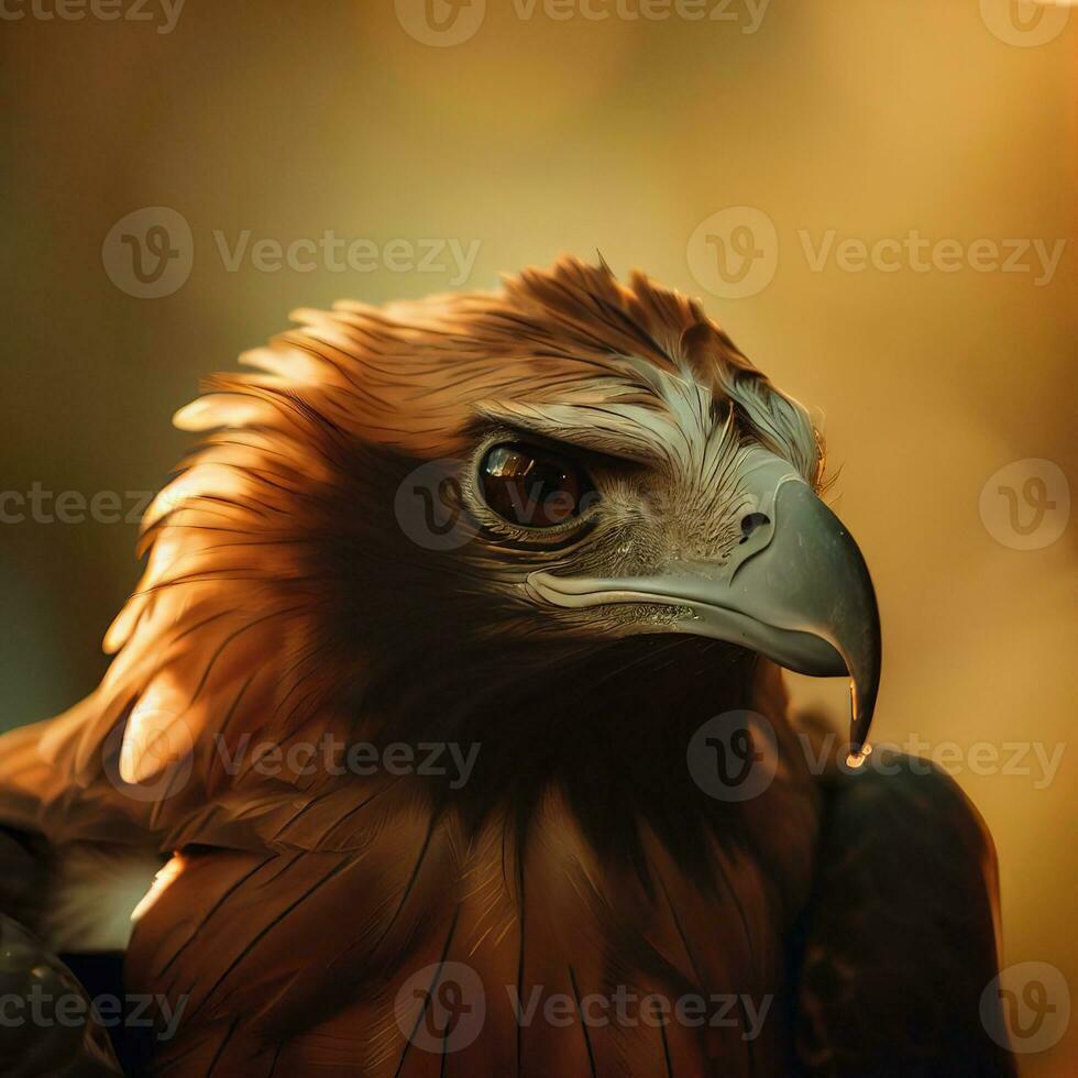 The piercing eyes of the Golden Eagle captivate in this close-up shot ,AI Generated photo